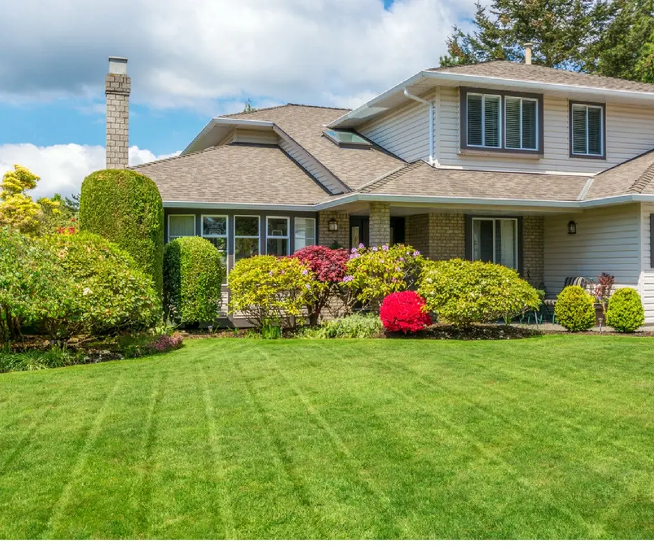 What is Overseeding? Process, Benefits, and Reseeding Differences Explained